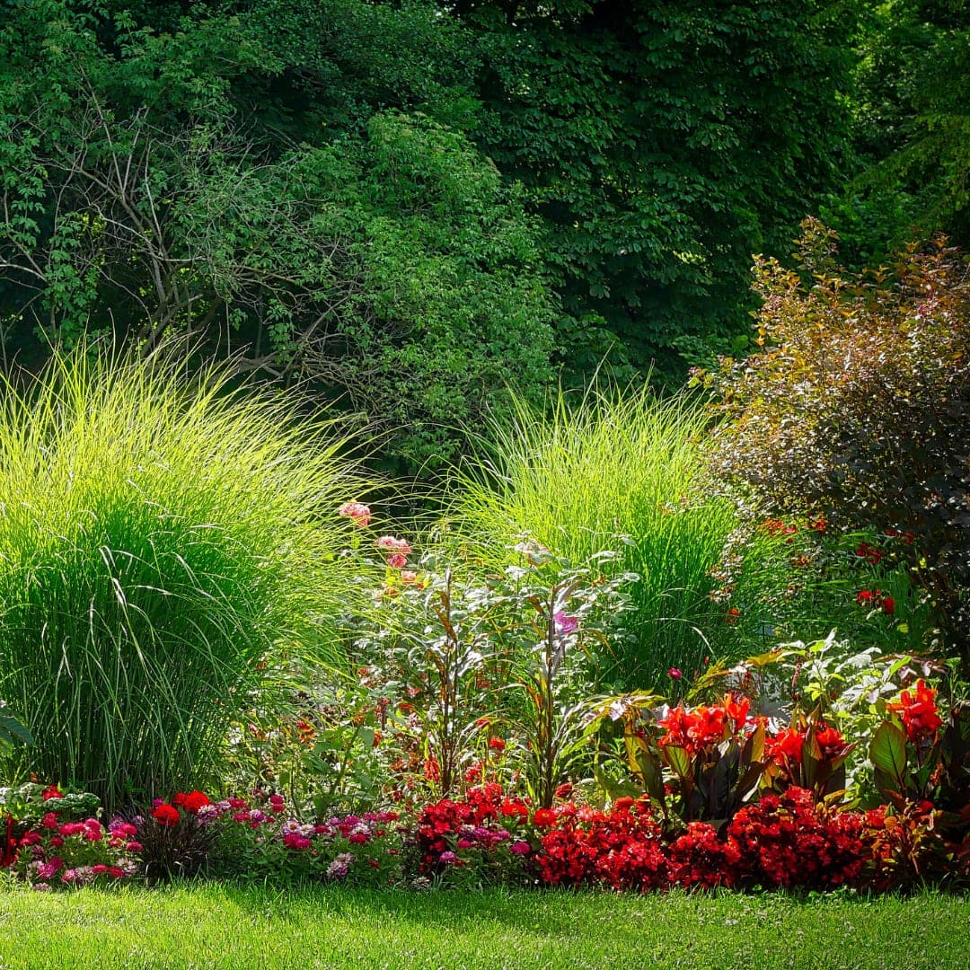 Gartenbau