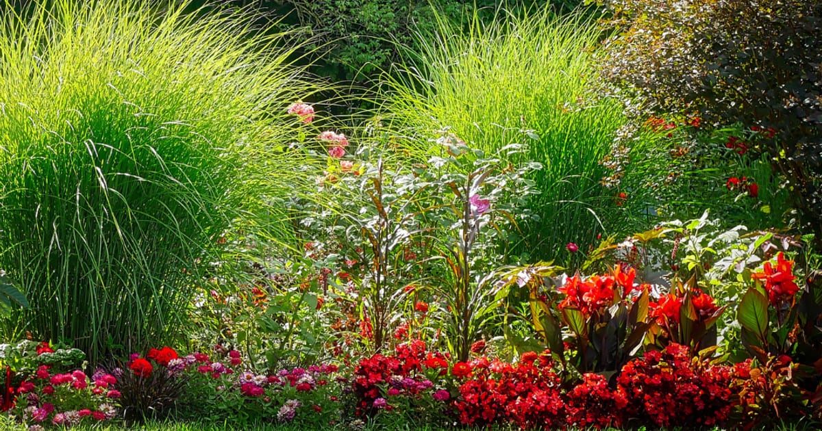 Pünter Garten GmbH